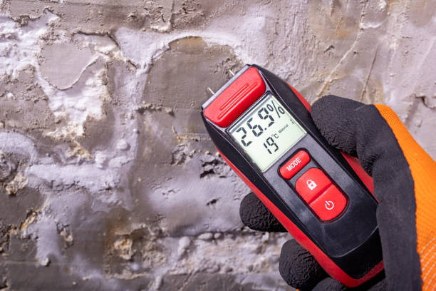 Best Affordable Mold Removal  in Ponder, TX