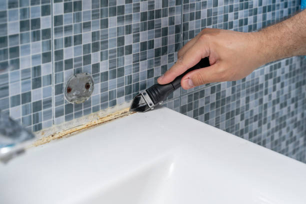 Best Commercial Mold Removal  in Ponder, TX